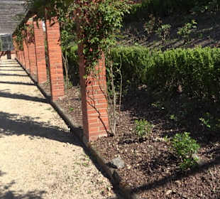 Rosengarten Villa Berg