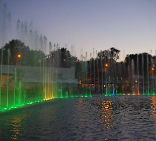 Аркадия, светомузыкальный фонтан