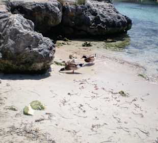Strand Cala Santandria