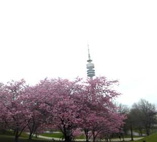 Olympiapark