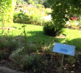 Botanischer Garten München