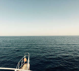 Delfinausflug mit Mo