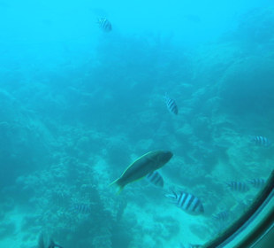 Ausflug mit dem U-Boot