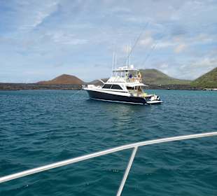 Wir sind nicht allein 