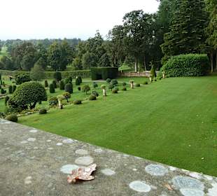 Gratis-Blick vor dem Tor