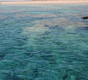 Wo ist mein Schnorchel?