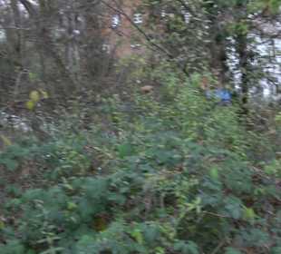 Grünanlage am Himmelsberg