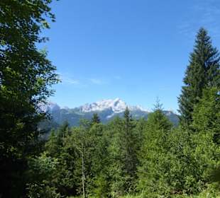 Eindrücke von unserer Wanderung am Eckbauer