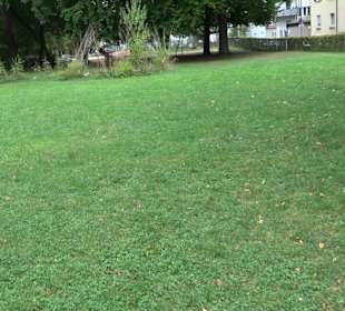 Quartiersgarten im Dichterviertel