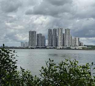 Sungei Buloh Wetland Reserve