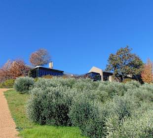 Weingut Tokara in Stellenbosch