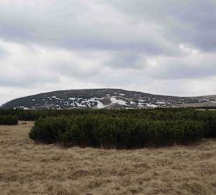 Berg Schneekoppe/Śnieżka