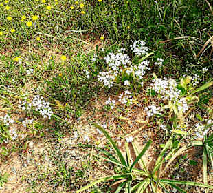 Nationalpark Kap Greco