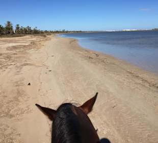 Am Strand der Lagune
