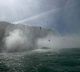 Niagarafälle 