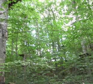 Hochgeträumt Premiumwanderung