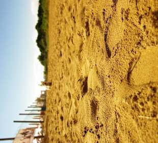 Freier Strandbereich ohne Hund