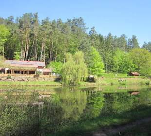 Am Paddelweiher in Hauenstein