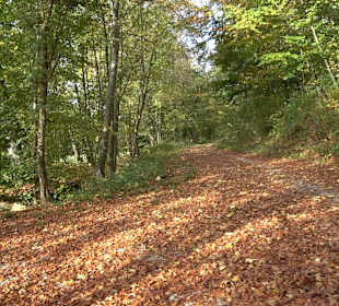 Wandertour "Rund um den Rossberg" Öschingen