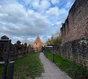 Burg Wertheim