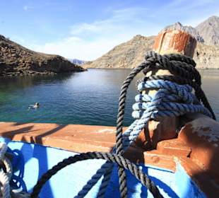 Dhau-Boot im Omani Fjord