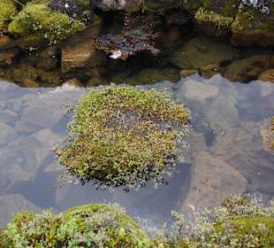 Klares Wasser in der Spalte, die 