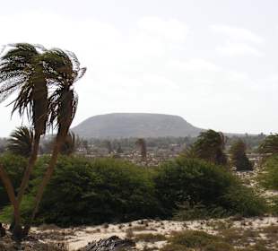 Ausblick von der Oase