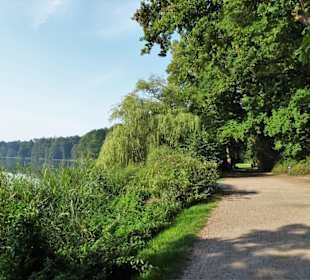 Spaziergang durch den Harburger Stadtpark