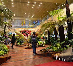 Flughafen Singapur Changi (SIN)
