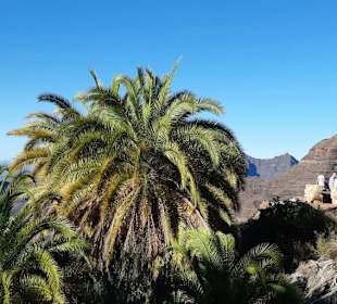Unterwegs - Tour Gran Canaria Special