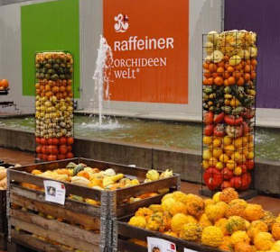 Raffeiner Orchideenwelt