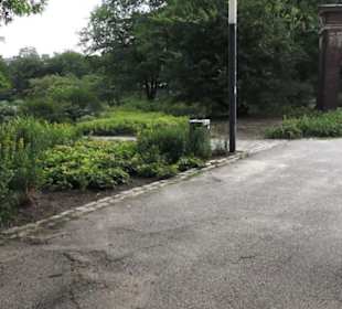 Alter Botanischer Garten