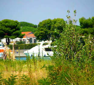 Hier parken die Schiffchen