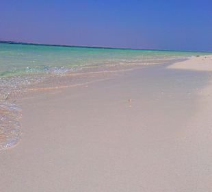 Экскурсия на остров Утопия