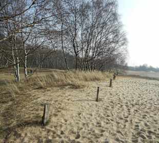 Wunderschöne Boberger Niederung