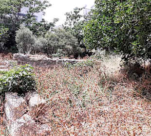 Westliches Ausgrabungsgelände