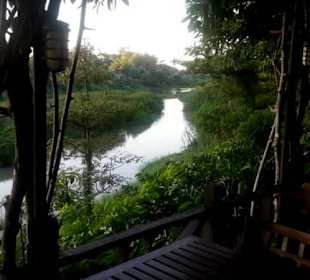 Welcome to the Jungle