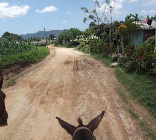 Ausritt durch das Vinales Tal