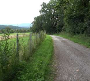 Sonnenaufgangs-Rundwanderung Rübgarten