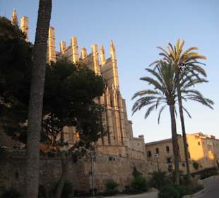 Palma