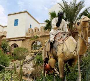 Medina Hammamet-Yasmine