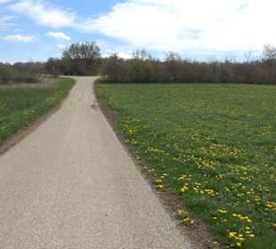 Vulkankrater-Rundweg Apfelstetten