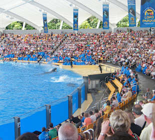 Unbedingt : der Loro Park