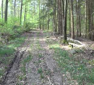 Walderlebnisweg Rottenburg