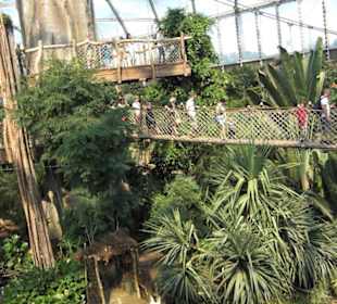 Godwanaland im Zoo Leipzig