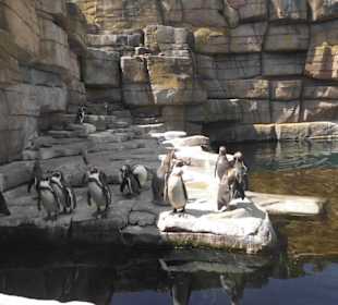 Tierpark Hagenbeck