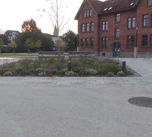 Bürgerpark