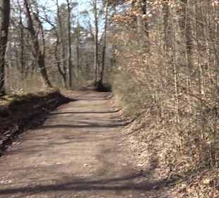 Hirschauer Spitzbergwegle (Premiumspazierwanderweg