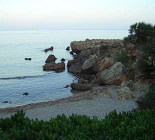 Son Moll gegen Abend