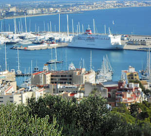 Hafen vom Castell 